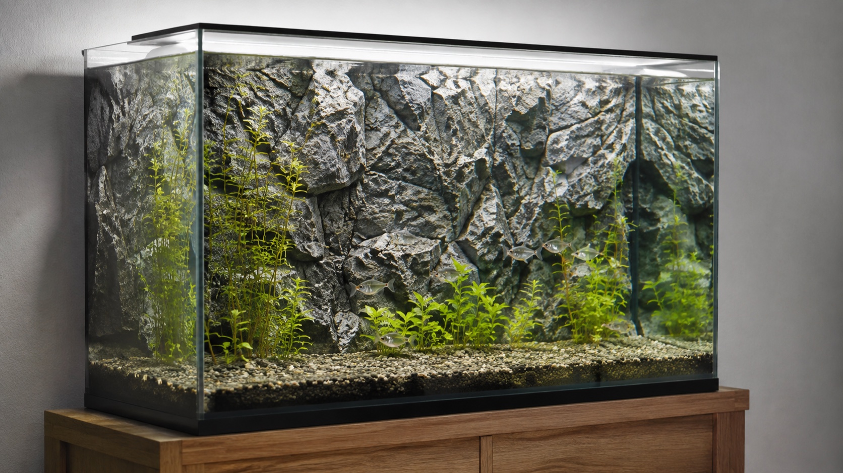 Best Aquarium Backgrounds: 3D, Vinyl, Painted (2026 Picks)